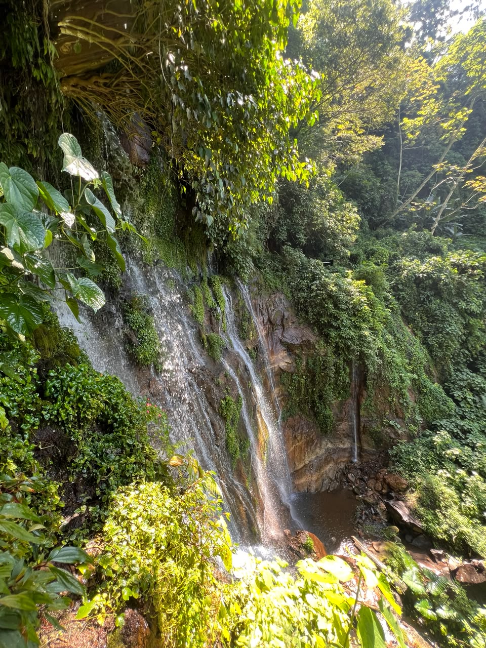 Aguas cristalinas