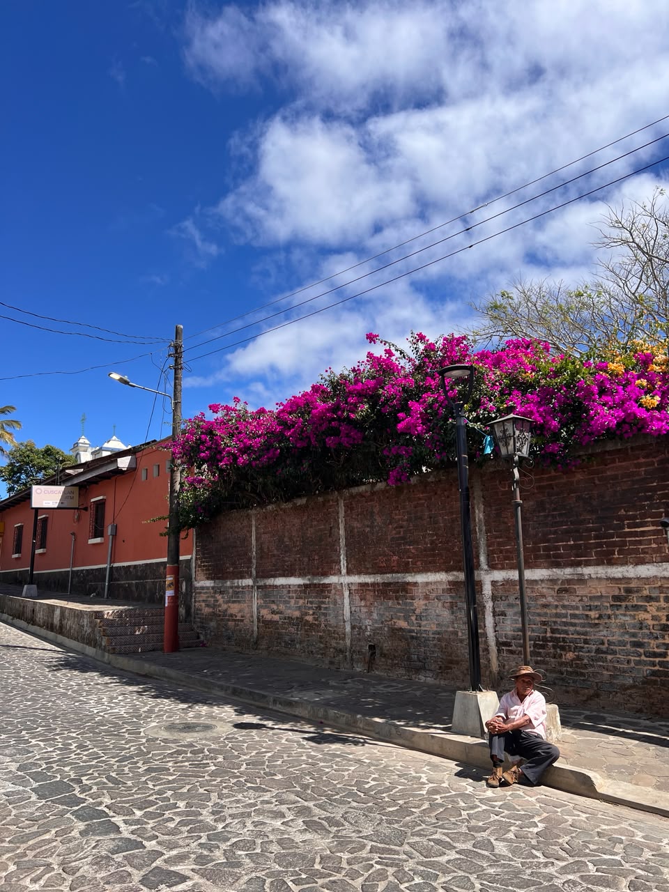 Arte y murales